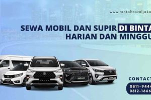 Sewa Mobil dan Supir di Bintaro Harian dan Mingguan